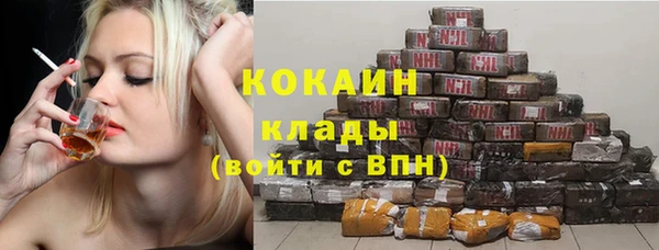 гашик Арсеньев