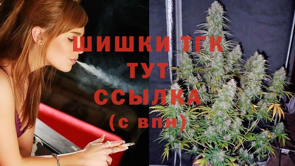 Альфа ПВП Аркадак