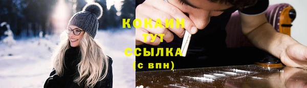 Альфа ПВП Аркадак