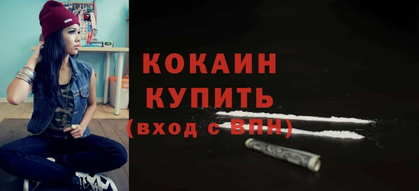 гашик Арсеньев