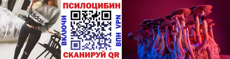 как найти наркотики Приморск Галлюциногенные грибы мицелий